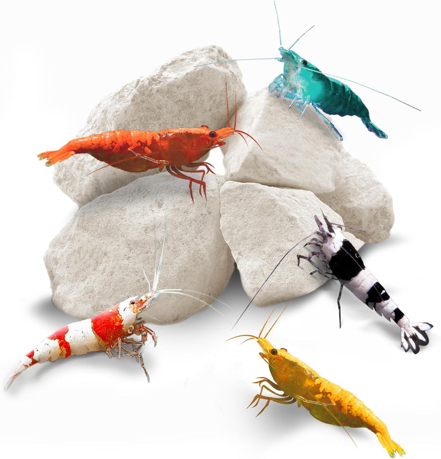 SunGrow Shrimp Rocks vs. Calcium & Magnesium: Surprising pH Test For Nano Tanks