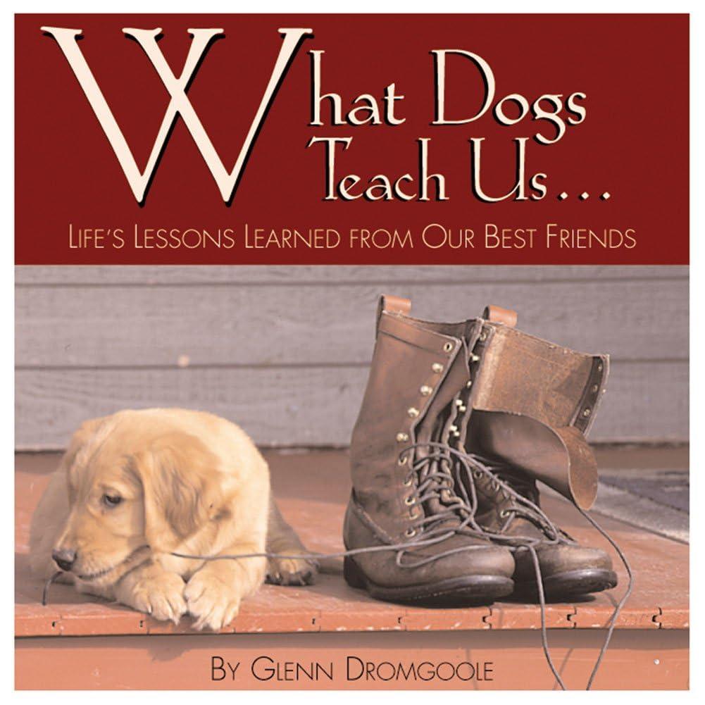Life Lessons Tested vs. Playful Tech: Surprising Pet Insights
