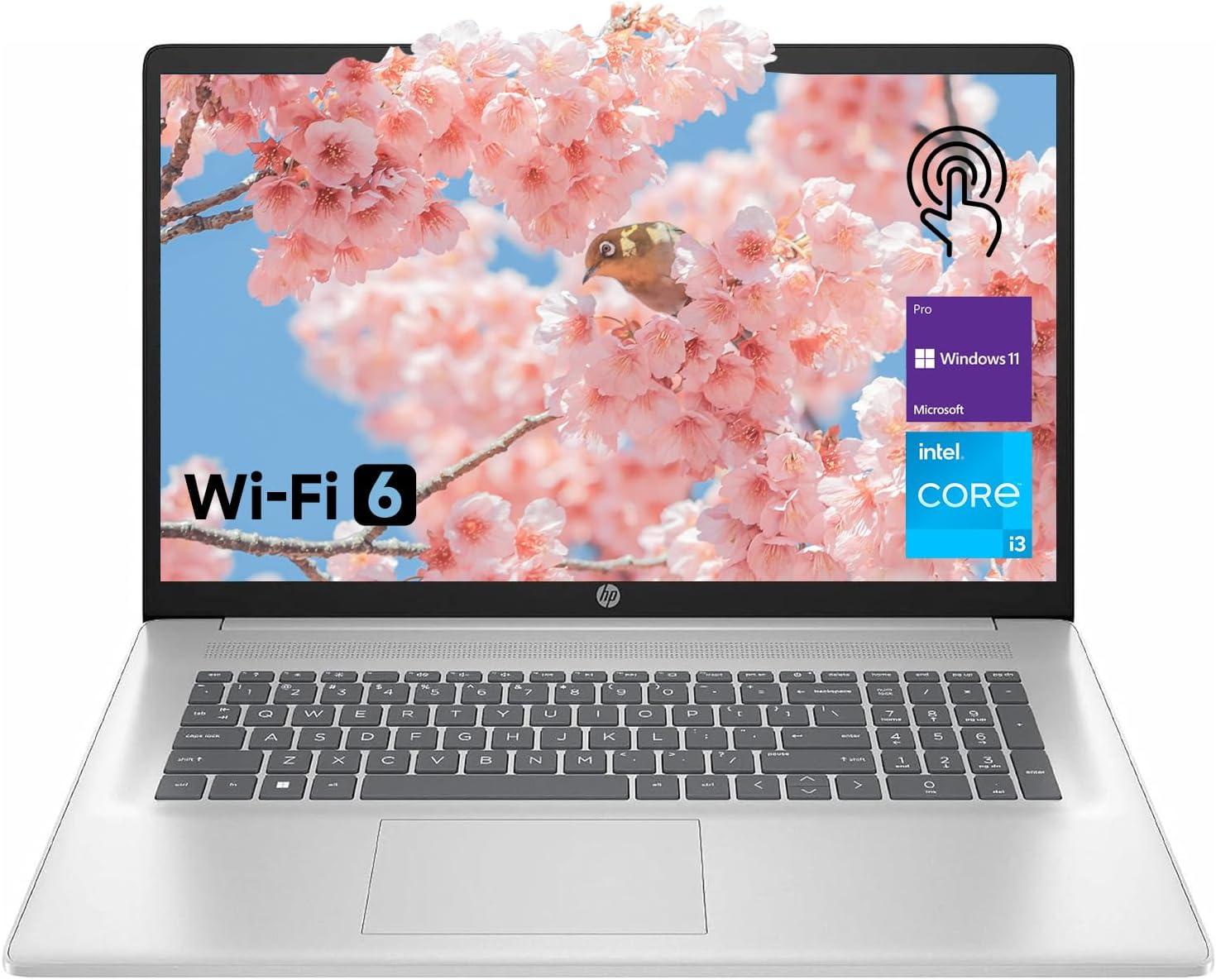 HP 17.3" Laptop: 8-Cores, 1TB SSD, HD+ Touchscreen - Surprising for Work?