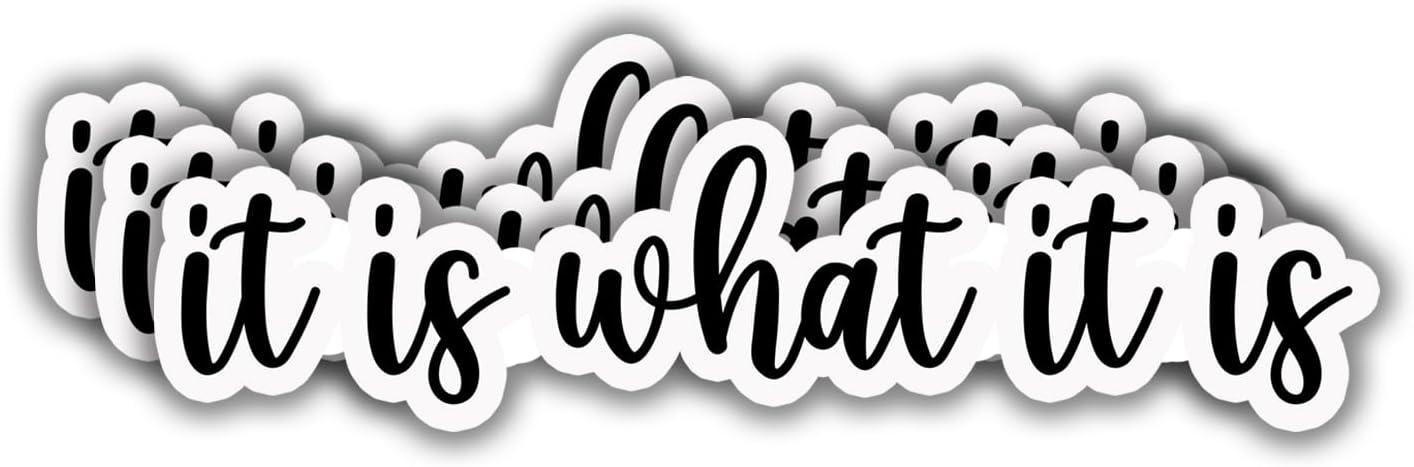 Funny 3pcs Decal Tested Versus Heavy-Duty: Surprising Insight for Meme-Season Buyers