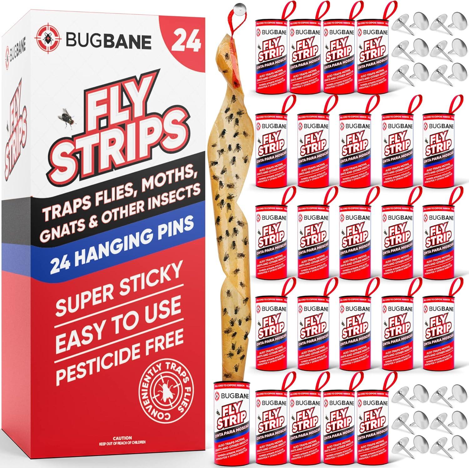 Fly Strips Showdown: Surprising Non-Toxic Trap Wins Home Tests