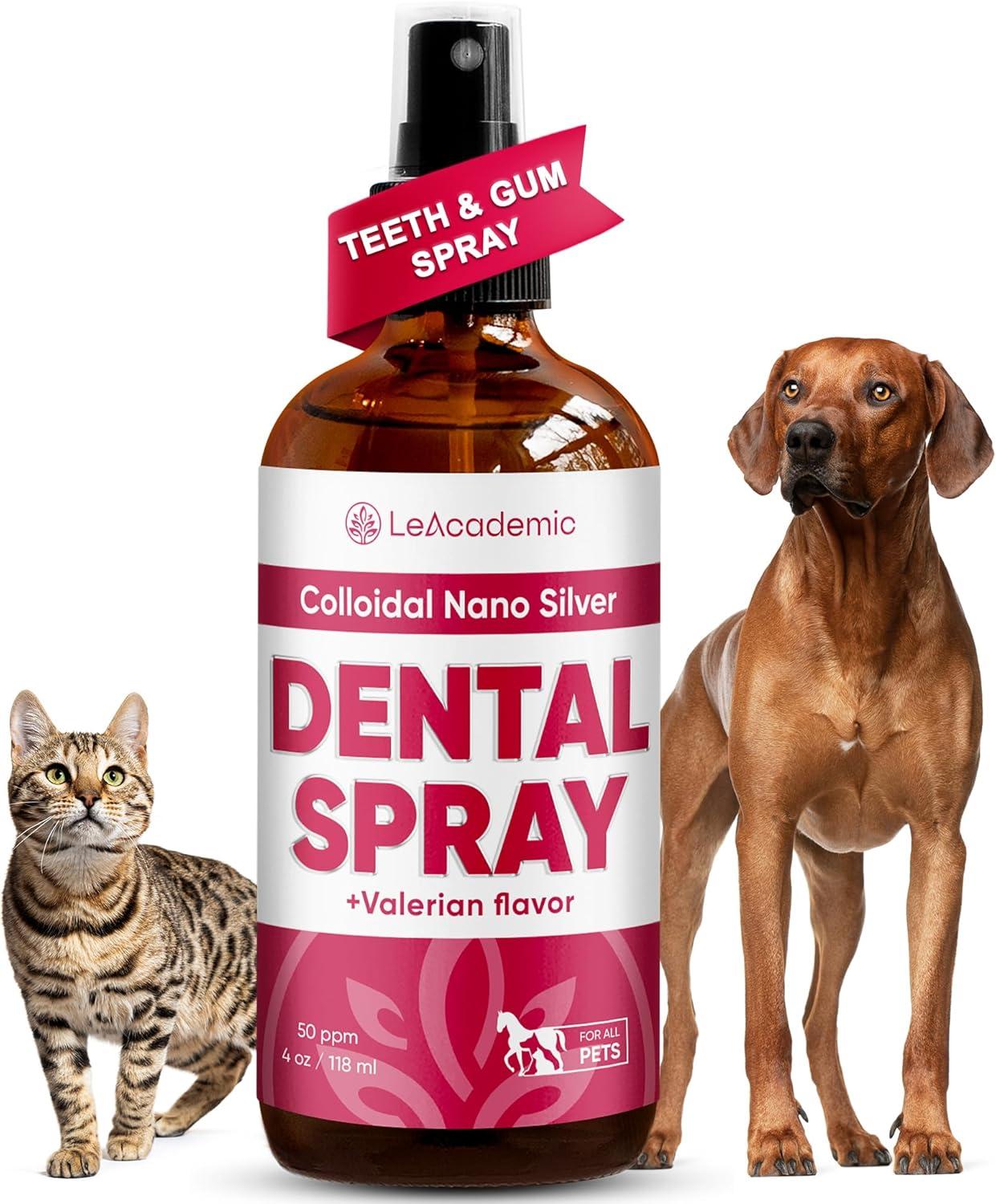 `
Contemporary Decor Blanket Showdown tested... Cozy vs. Pets Health