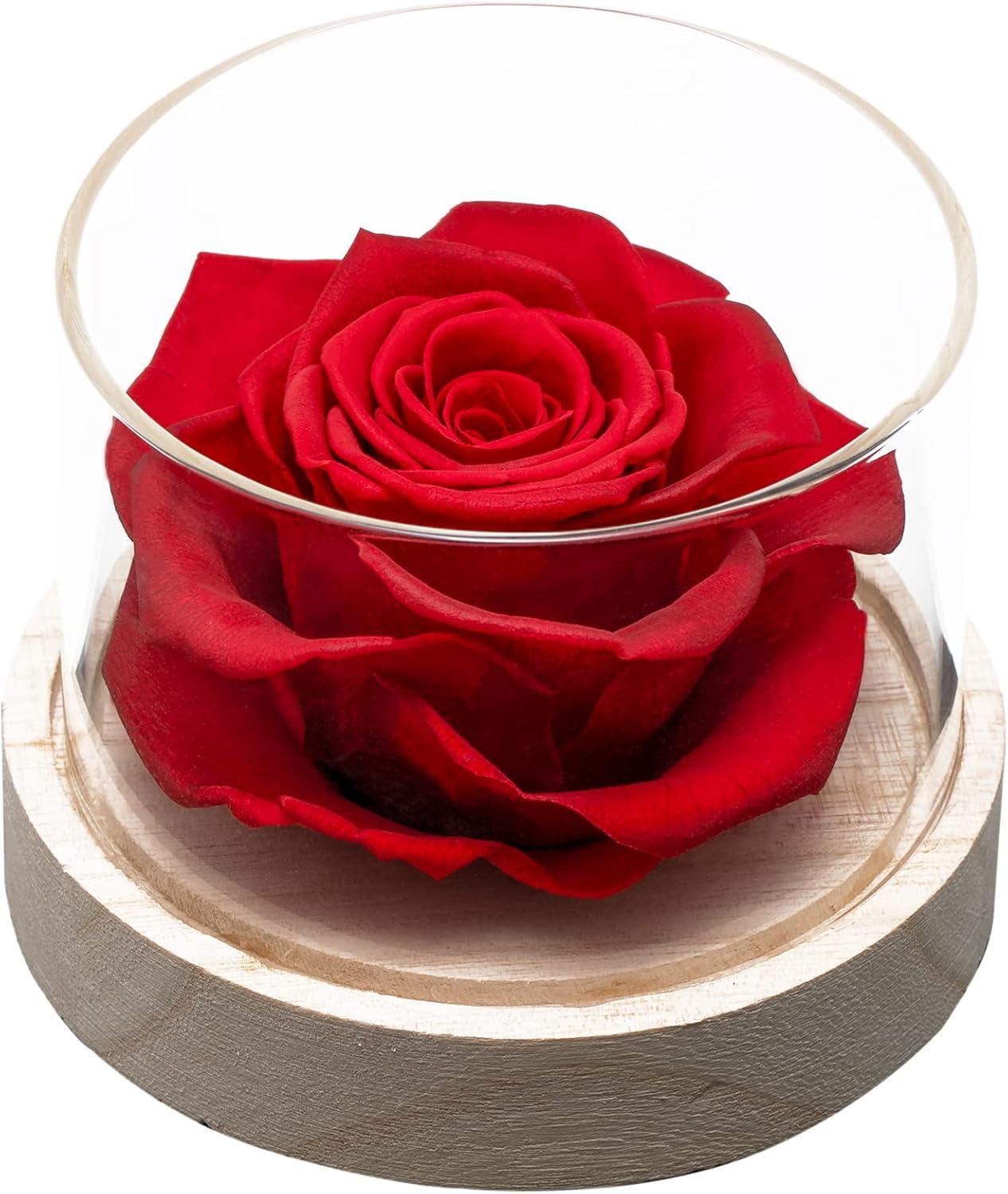 Rose Scented Home Gift Tested, Lasts 4 Months, Valentine's Insight... Fresh Compare
