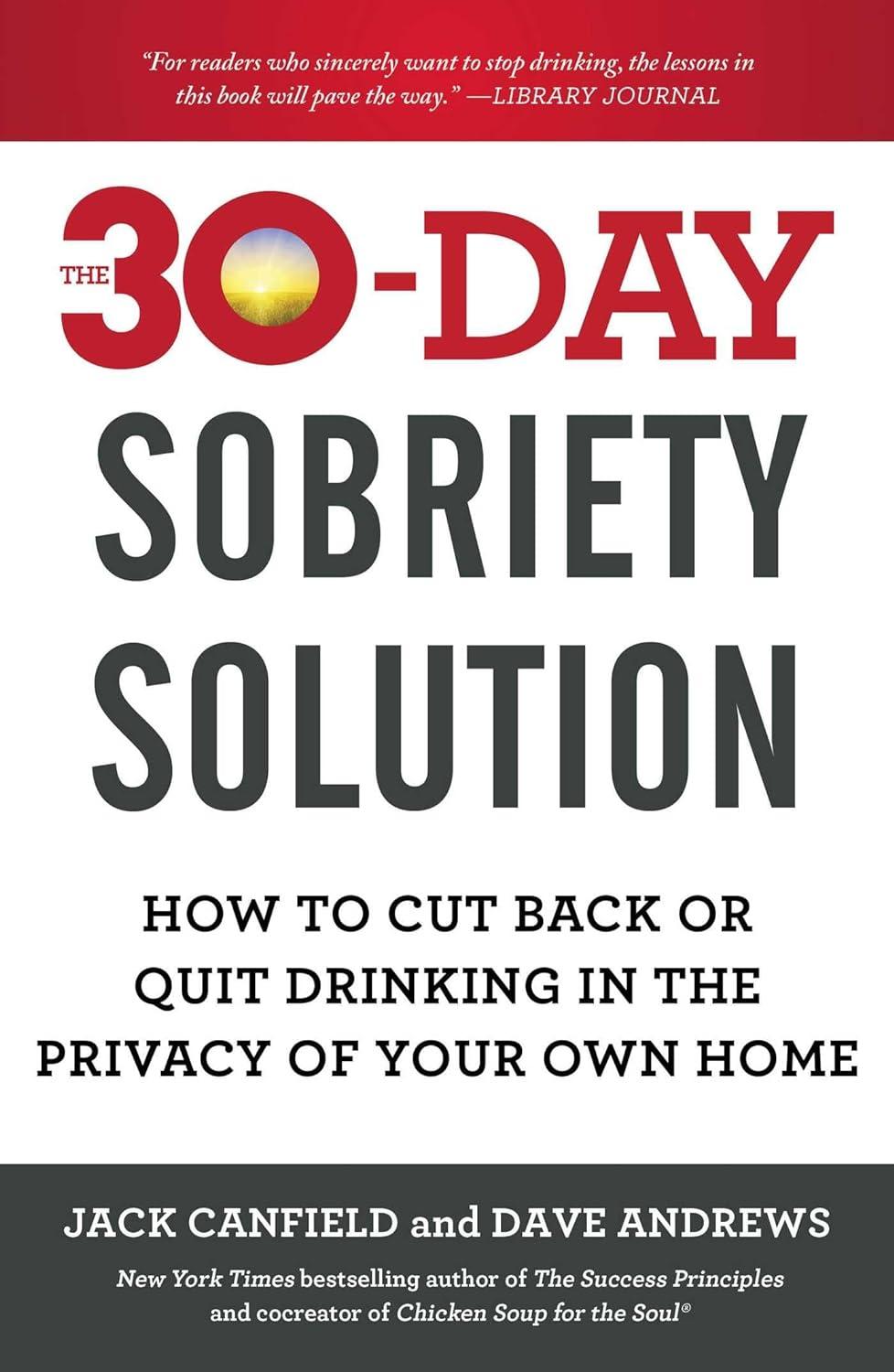 The 30-Day Sobriety Solution vs. HomeDetoxKit's 24/7 Support: Surprising Wellness Showdown (Tested for Real Results)