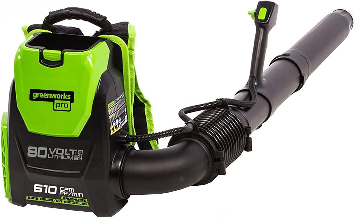 Surprising Insight: Wall Mount for Backpack Blower …