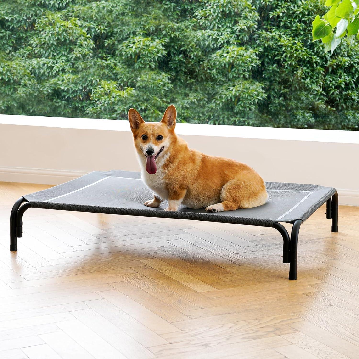 Aging Pets' Showdown: Harness Support vs. Elevated Bed Comfort