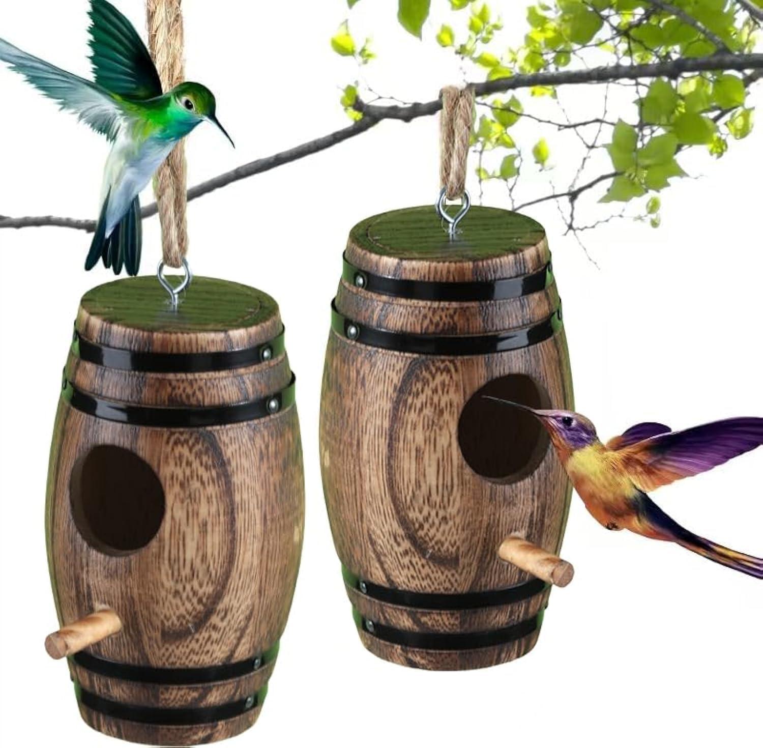 Spring Showdown: Surprising Drainage Design Tested for Hummingbird Safety