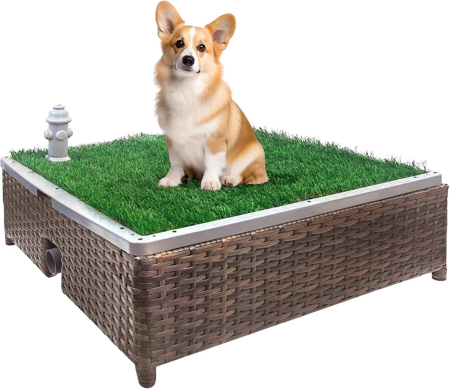 Showdown: Self-Draining Potty vs. Premium Artificial Grass-Surprising Cleanup Insight?