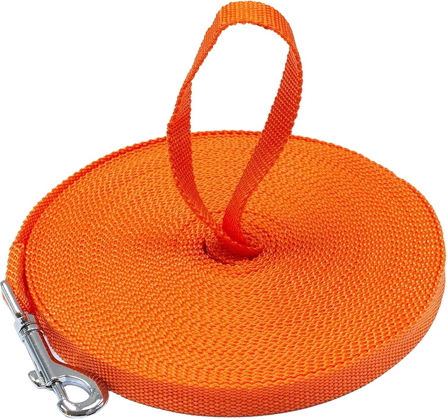 Dog Training Leashes Showdown: 30ft vs 6ft Tested for Control