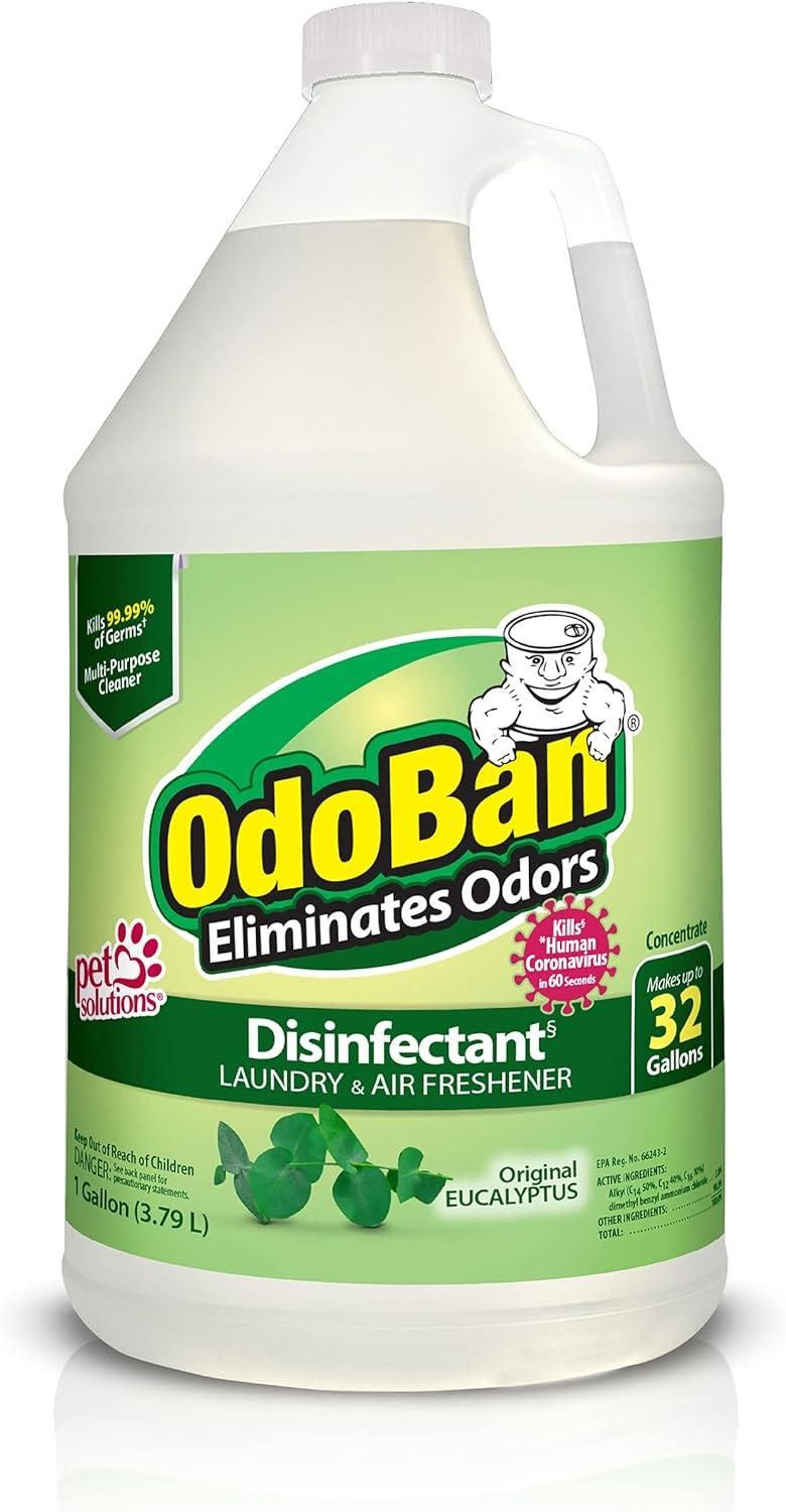 OdoBan Showdown: Disinfectant Concentrate Tested vs. Odor Eliminator with Eucalyptus Scent
