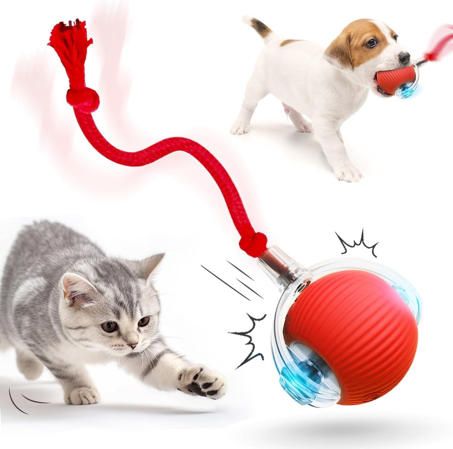 2025 Cat Ball Toys versus Self-rolling Peppy Dog Balls: Tested for Indoor Fun