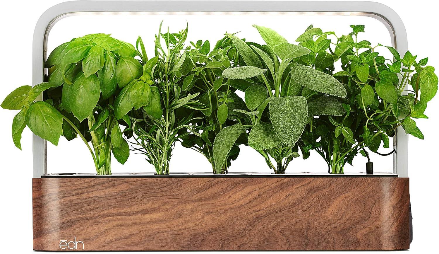 Edn's Smart Garden Tested: A Surprising Setup Showdown