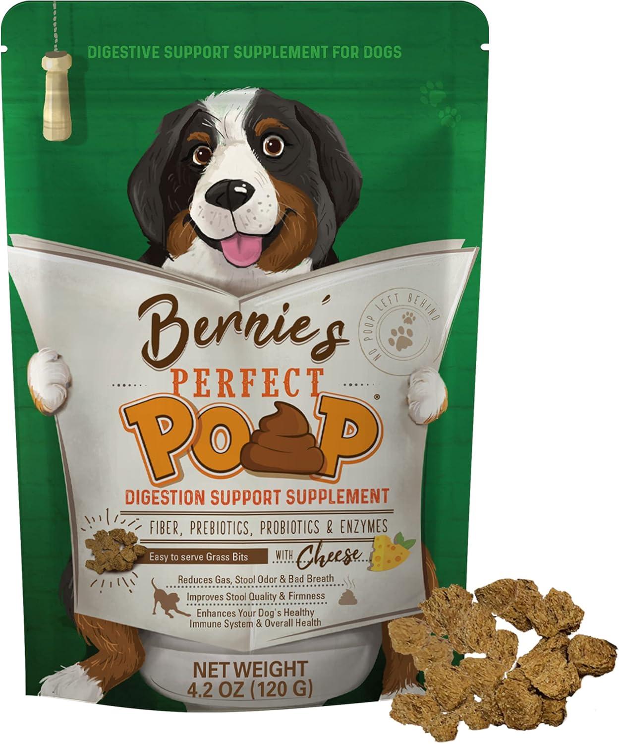 Surprising Insight: Dog Food Showdown Unveiled