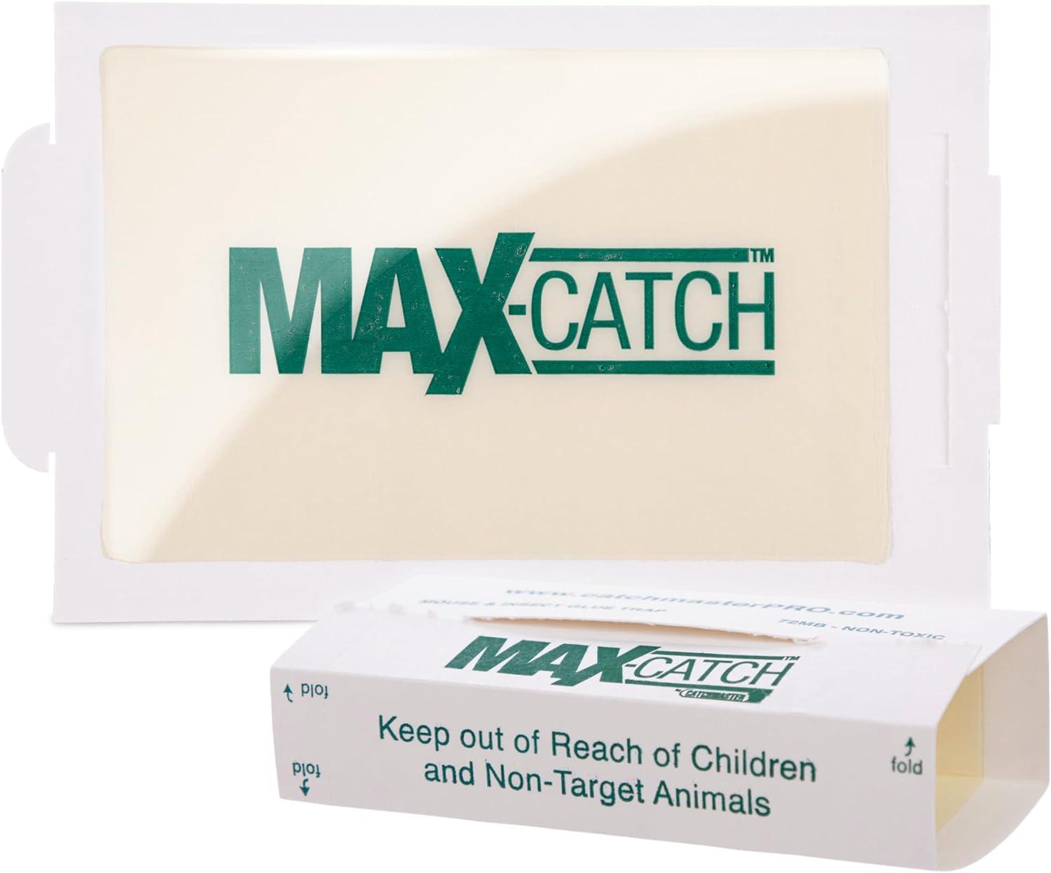 Surprising Insight: Max-Catch Versus Bulk Glue - Compared for Home Sticky Pest Control Use Case