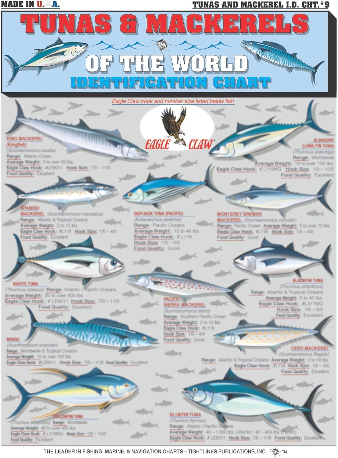 Quick Guide Showdown: Best Portable, Waterproof Tunas Mackerels Compared