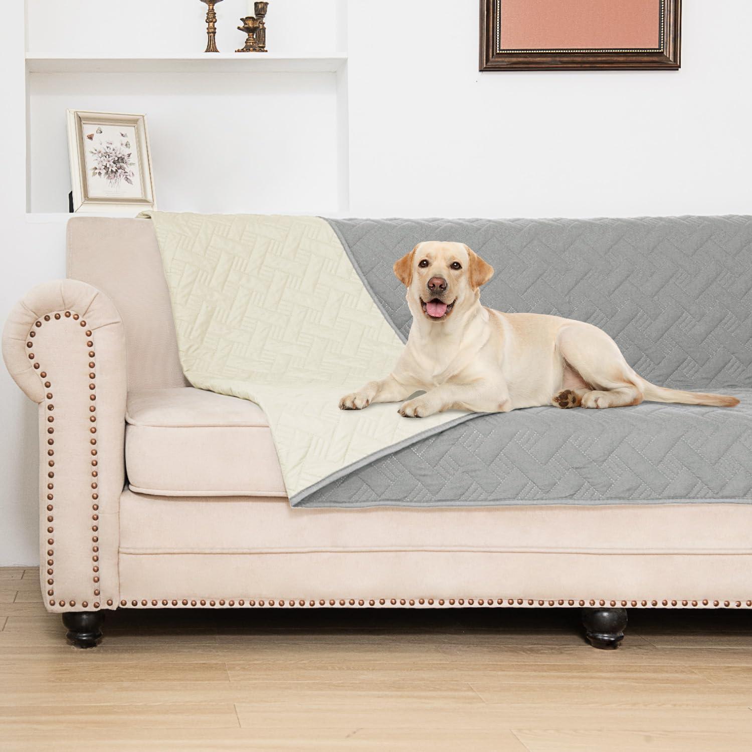 Surprising Insight: Capolo Cooler Versus Dog Bed Cover Comparison... Find Perfect Gear!