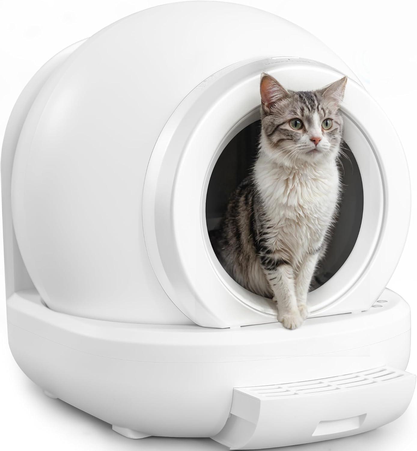 Surprising Insight: versus Odor Control Showdown