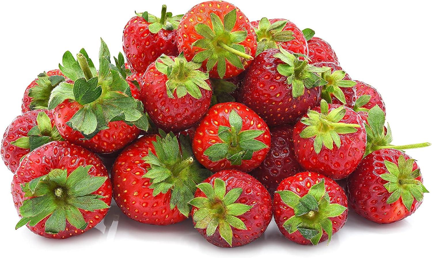 Bare Root Showdown: Testing Seascape Strawberries’ Shocking Yield... 50+ Per Pack!