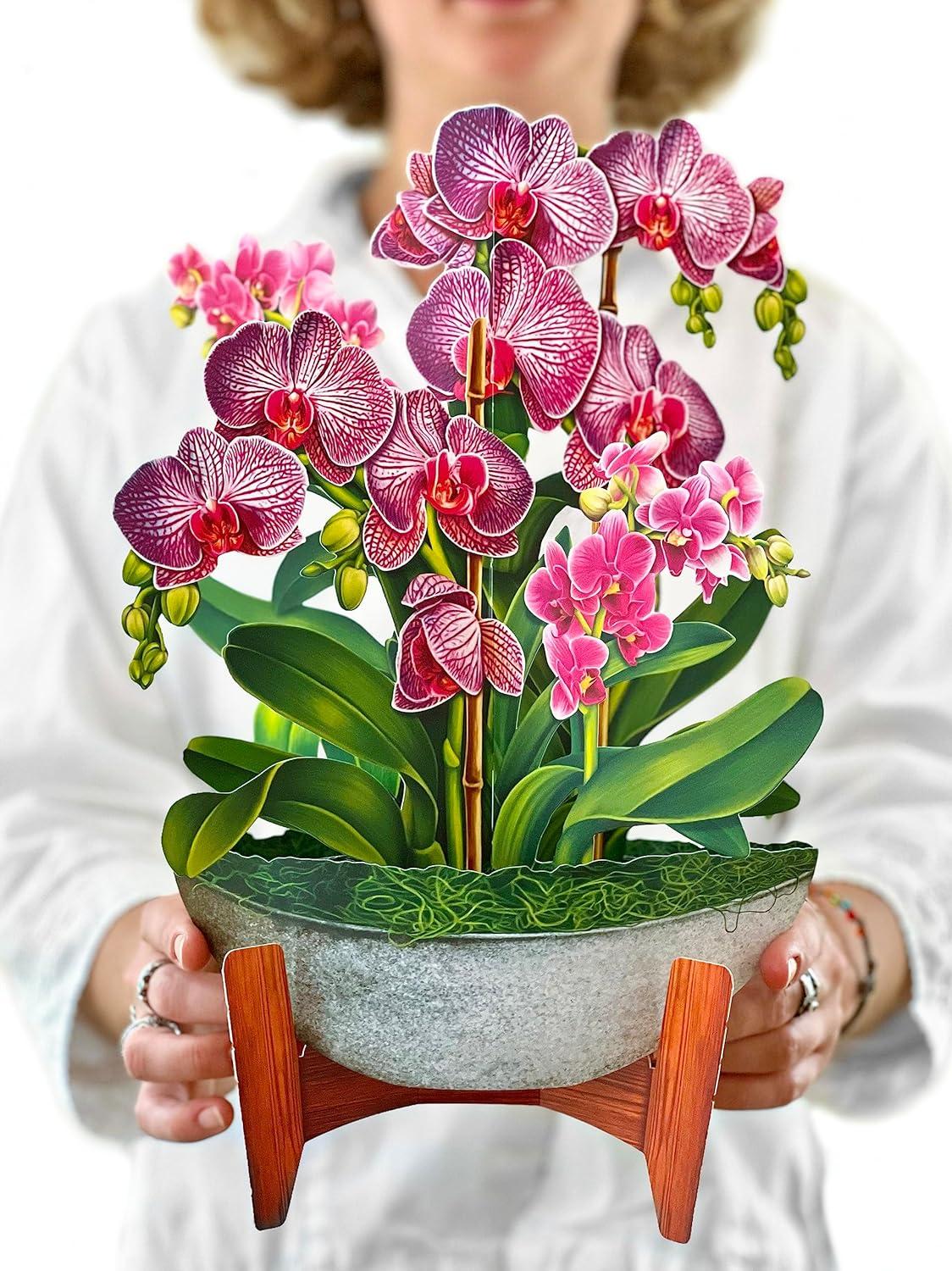 3D Orchid Pop-Up vs. Paper Card: Tested Gifting Idea…
