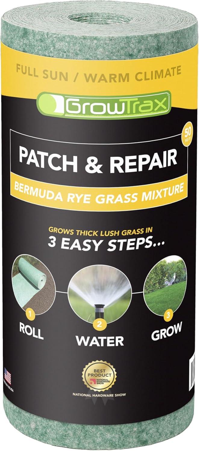 Lawn Paint Versus Seed: A Surprising Insight On Greening Choices