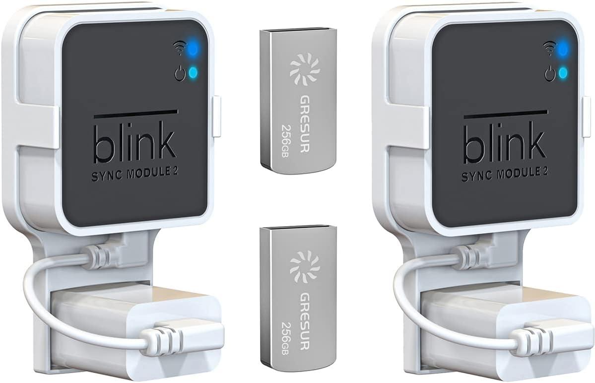 Surprising Space-Saving Secret: 256GB Flash Drive & Mount for Blink Security System