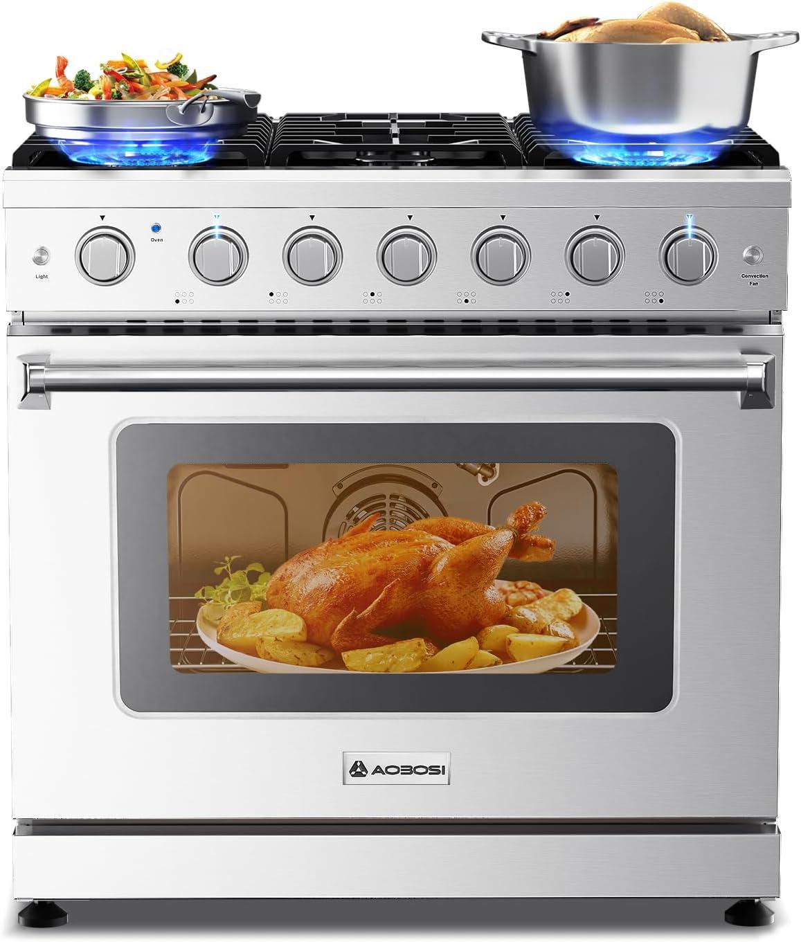 AAOBOSI Gas Range Oven Showdown: 6 Burners, Self-Clean, Halogen Light - True Convection, Large Capacity
