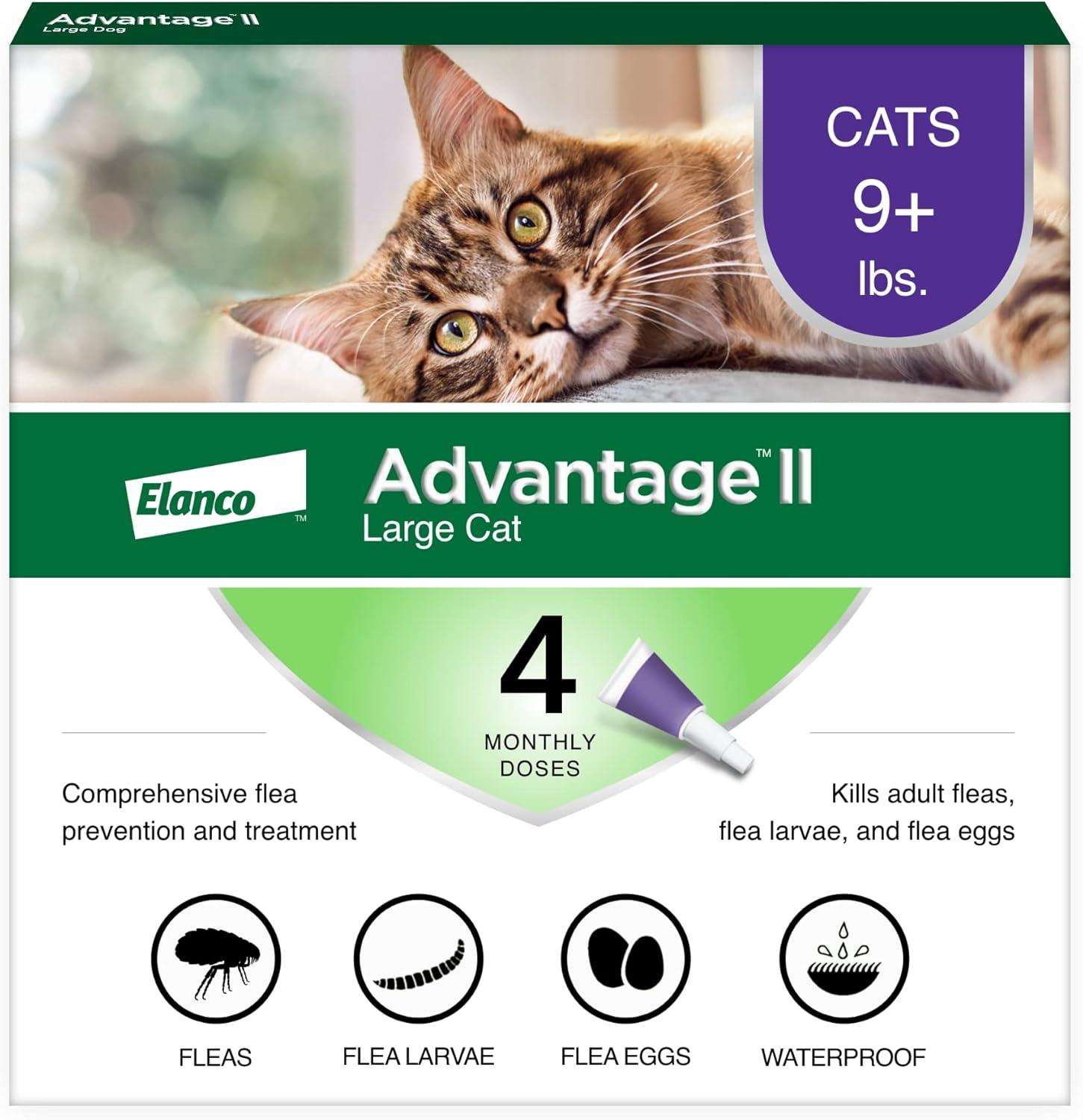 Surprising Showdown: Advantage II 4-Month Supply… vs Vet-Recommended Prevention for Large Cats
