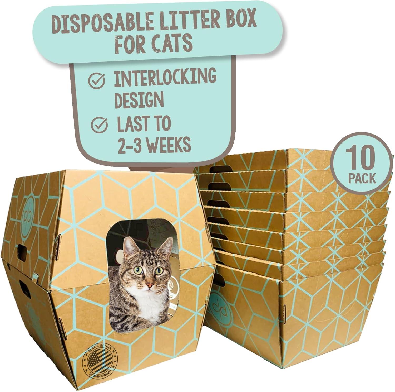 Surprising DIY Use for Eco-Friendly Shipping Boxes