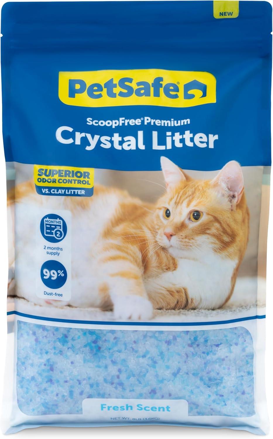 Cat Litter Showdown: Tested vs. Donations for Shelter Cats