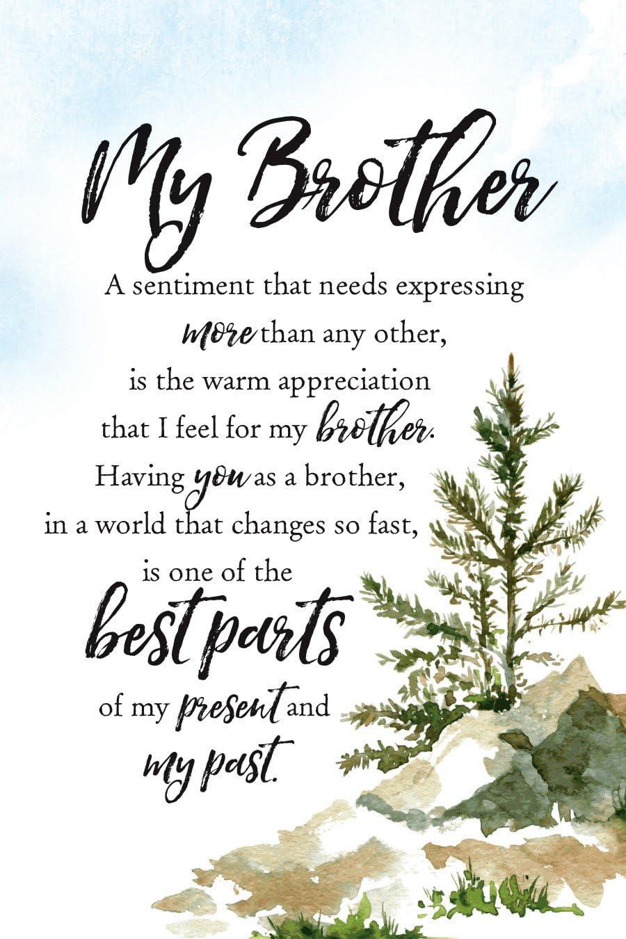 Surprising Insight: Brother-Inspired Wall Decor for Meaningful Gifting
