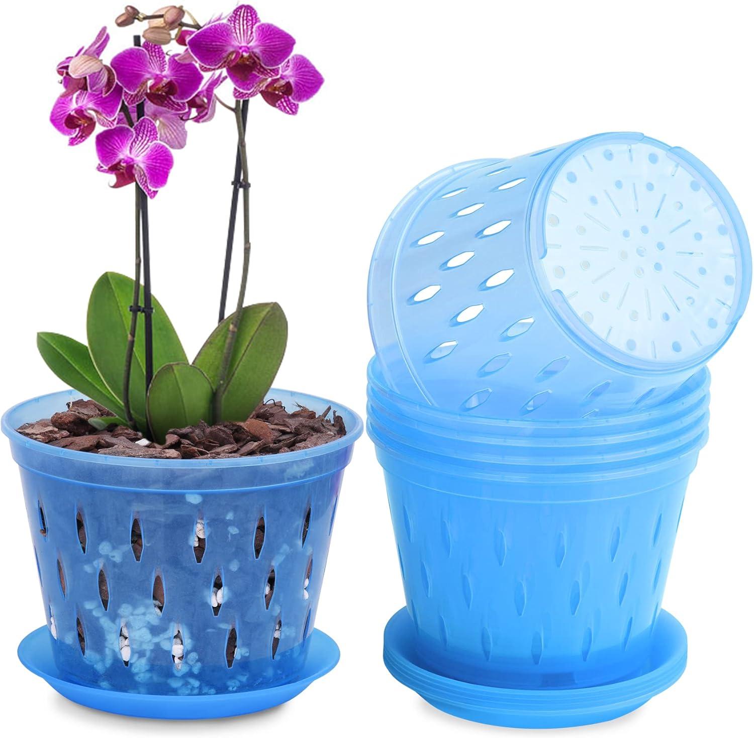 Self-Watering Planters: Tested for Travel-Wise Gardening