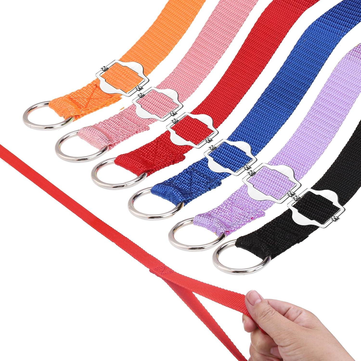 6-Foot Length vs. 6-Pack Bulk: HOMIMP Kennel Control Leashes Tested for Shelters