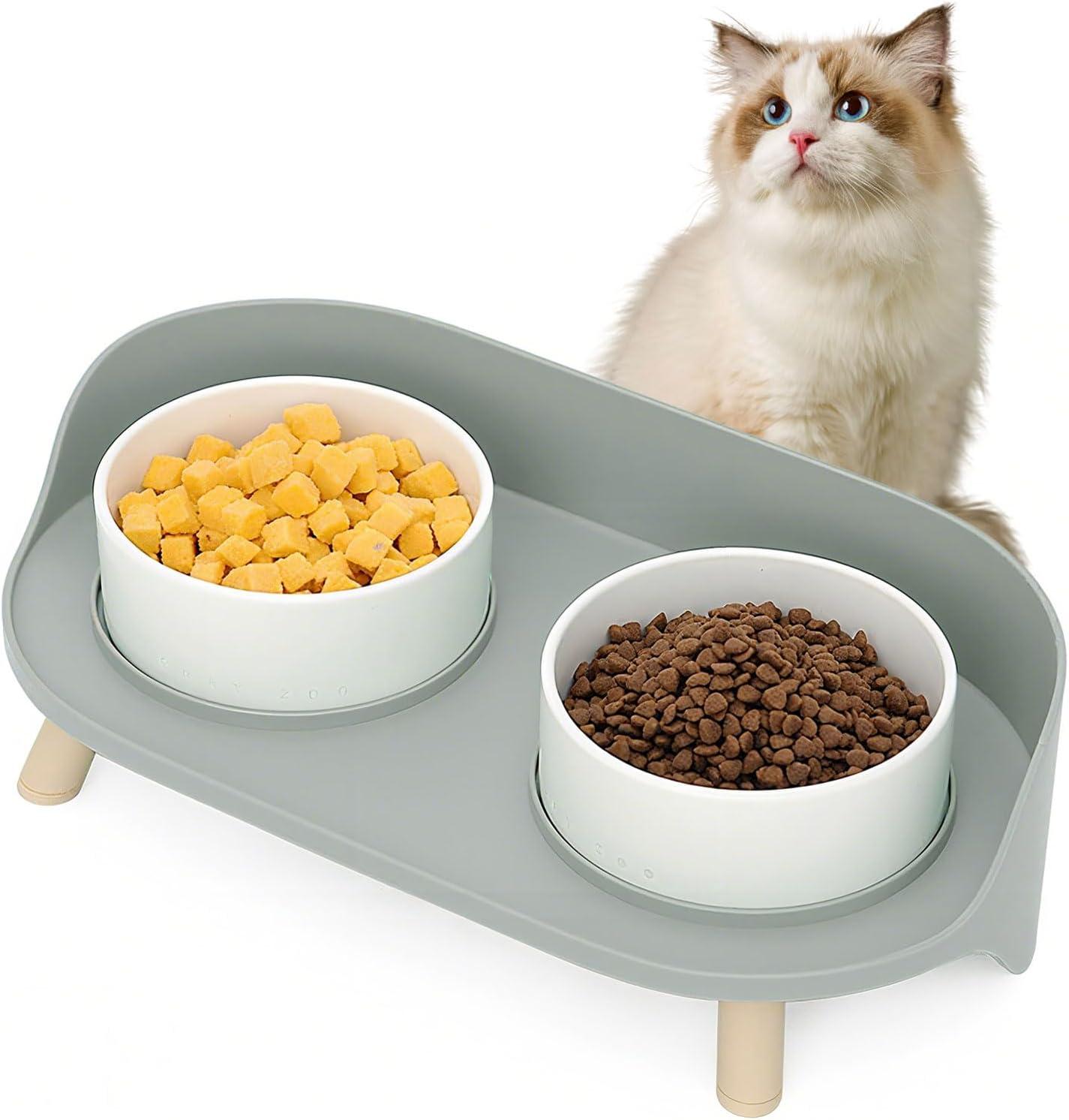 Tested Elevated Pet Bowls: Surprising Joint Health Benefits