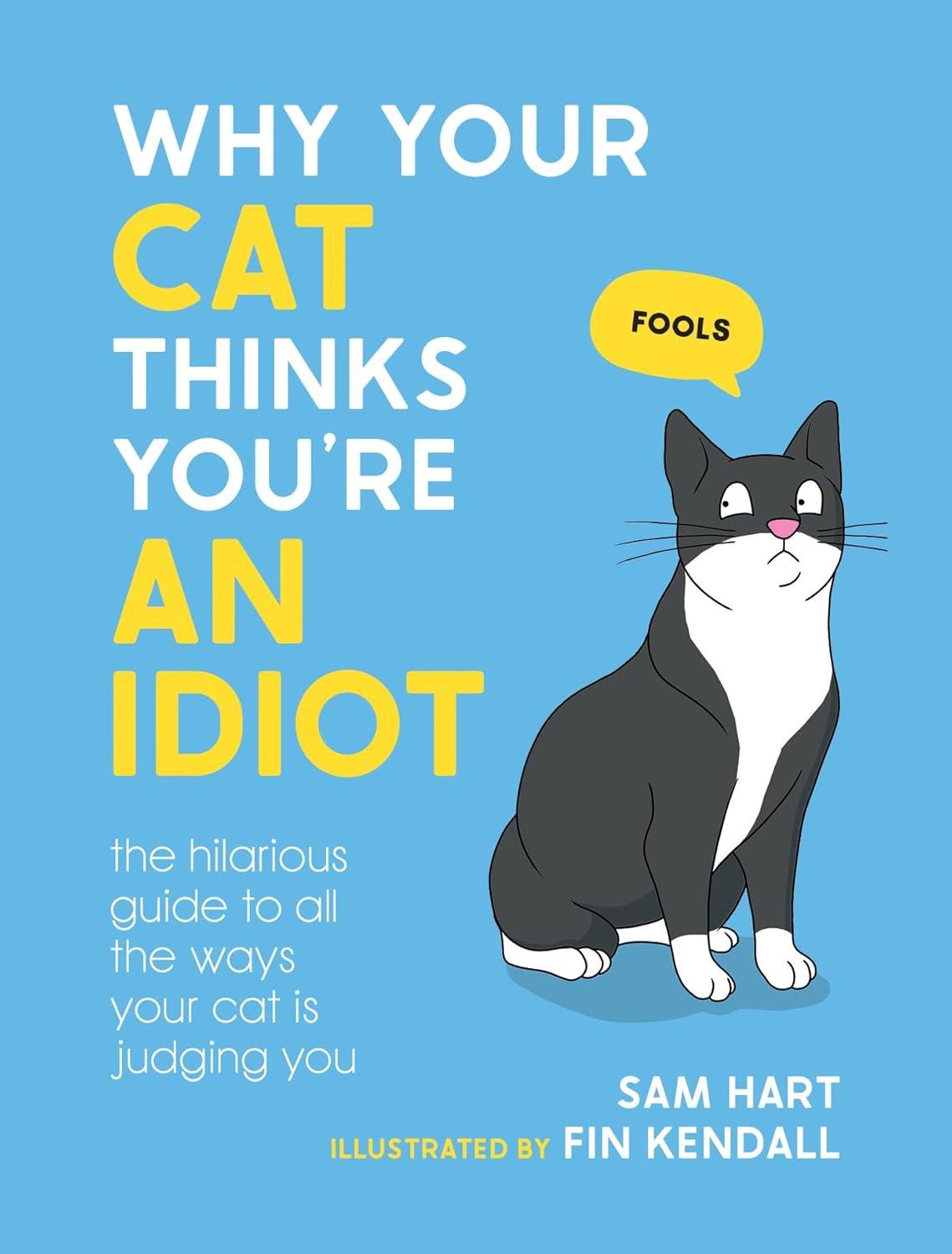 Kids' Cat Showdown: Surprising Insights from Tested Breeds