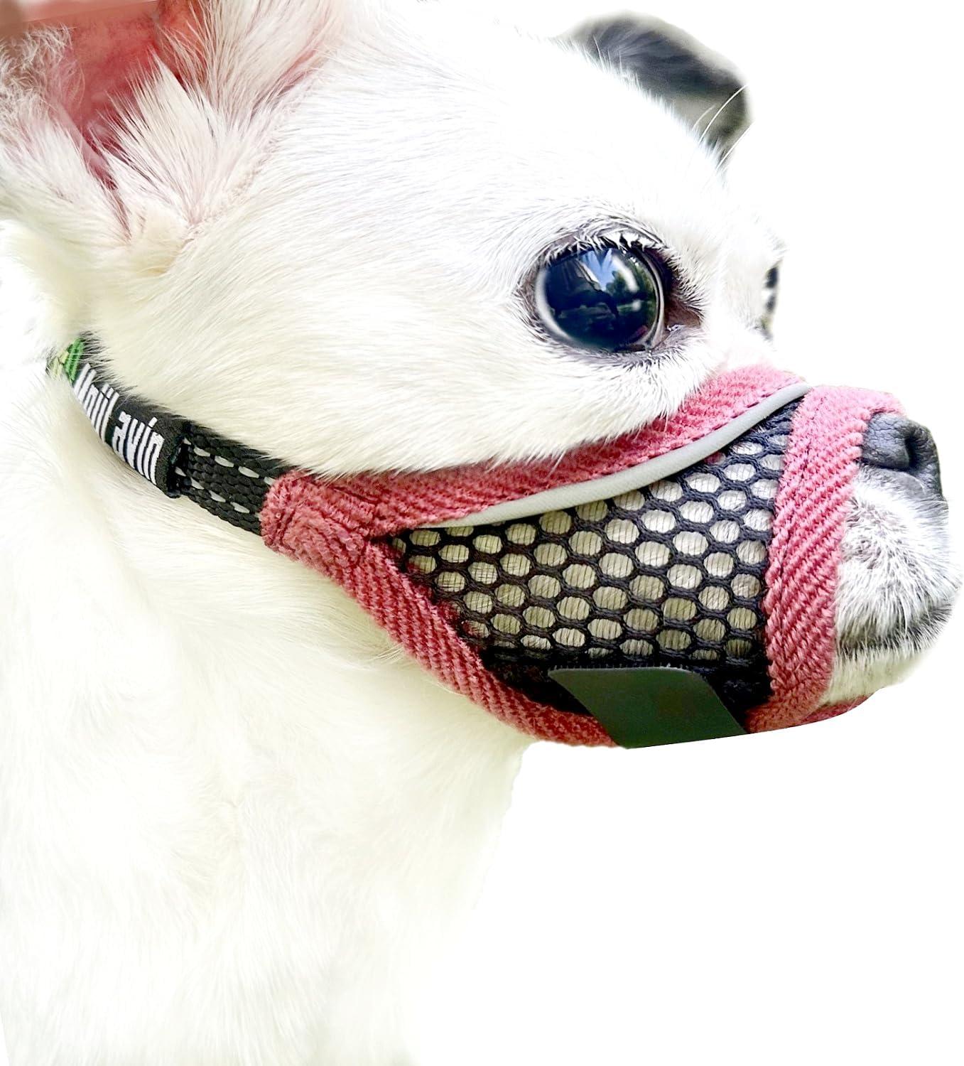 Soft Mesh, Short Snout, Breathable Adjustable Muzzles: Tested for Small Dog Grooming