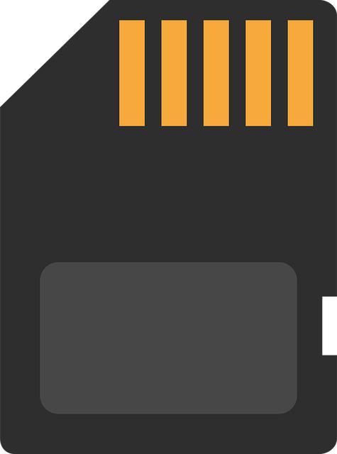 Best USB Drive for Easy File Storage and Quick Transfers