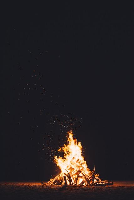 What Is the Best Wood for Firewood? A Simple Guide to Warm, Clean Burning Choices