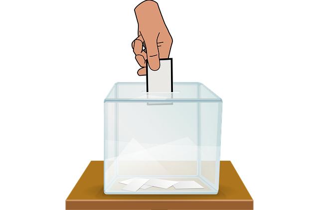 Who is the Best Person to Vote For? Simple Tips to Help You Decide