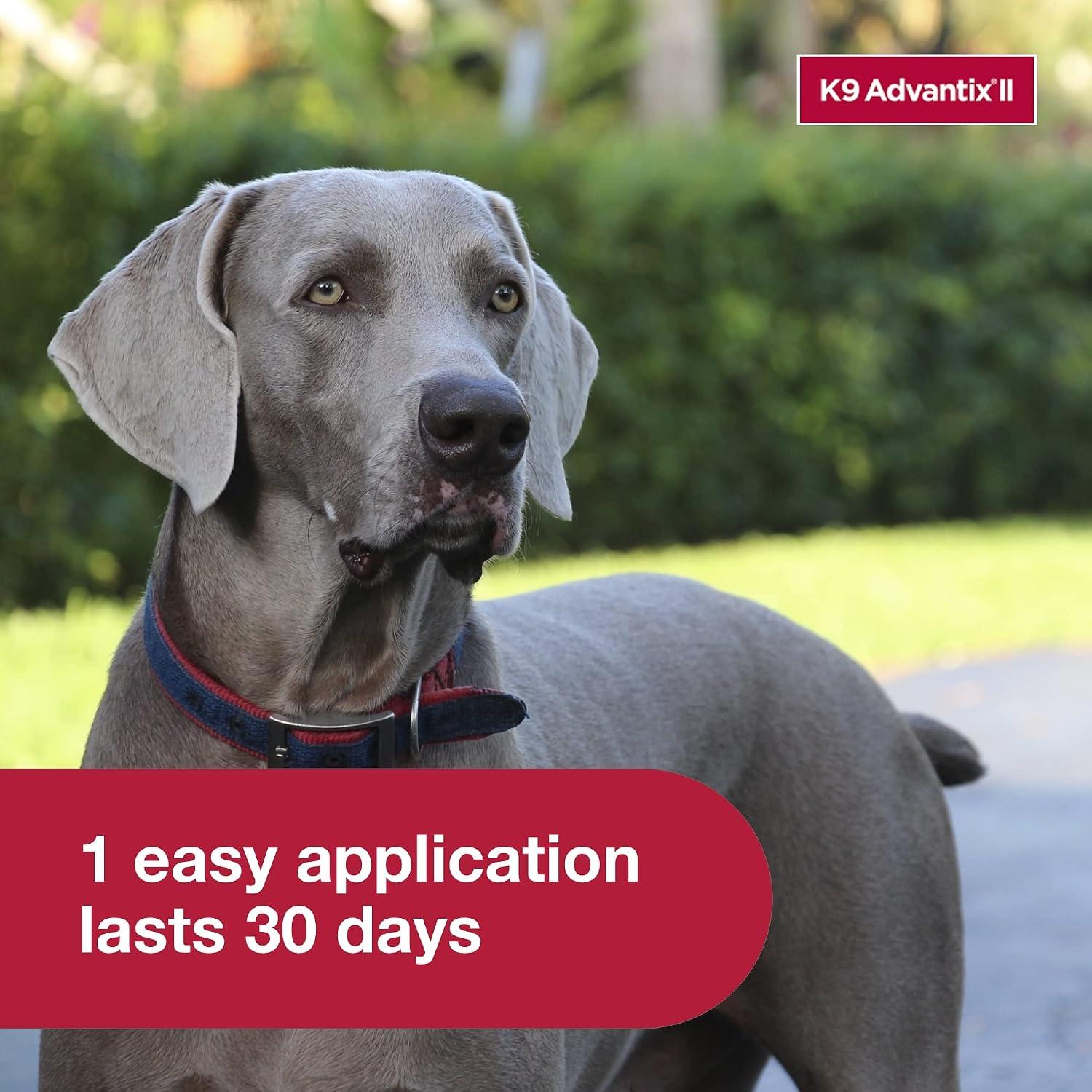 Best Flea & Tick Prevention - K9 Advantix II XL Dog Vet-Recommended Review