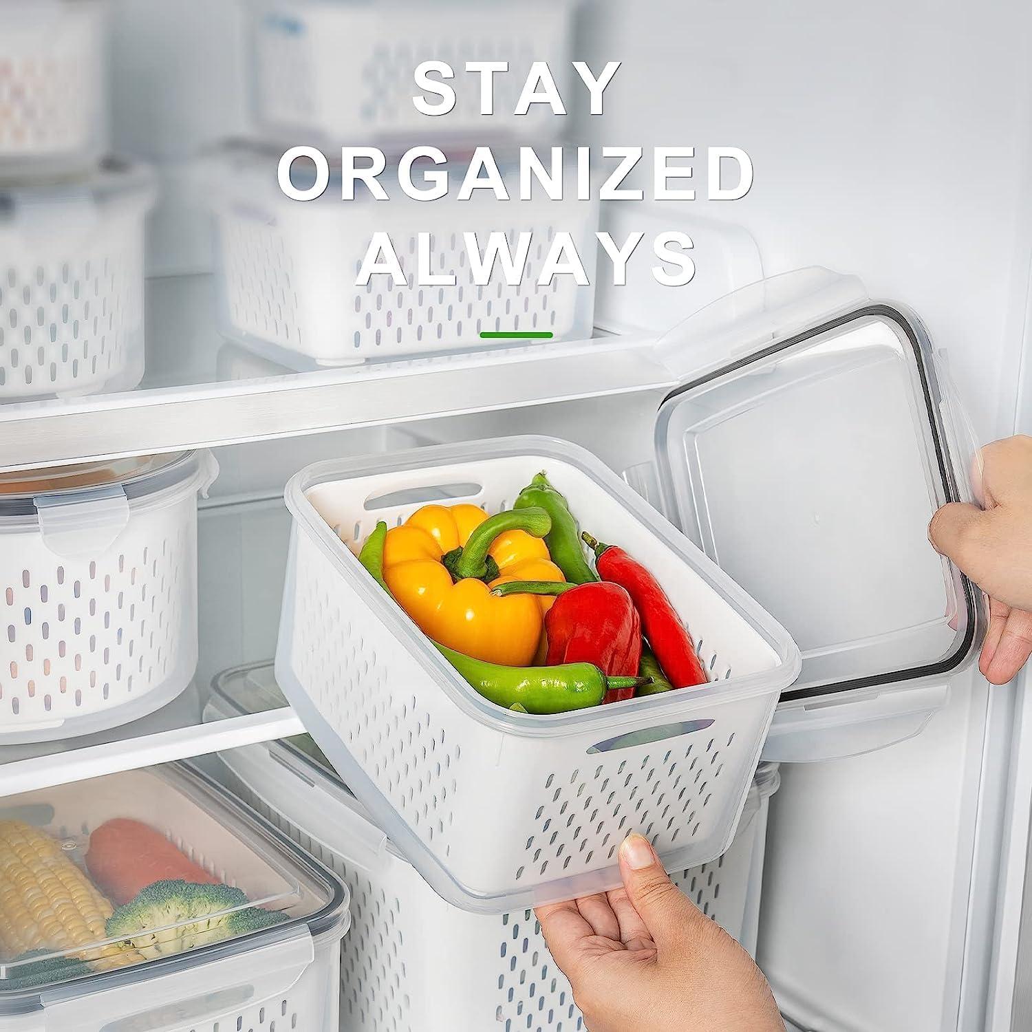 Best Food Storage Containers - Freshmage Fridge with Removable Colander Review