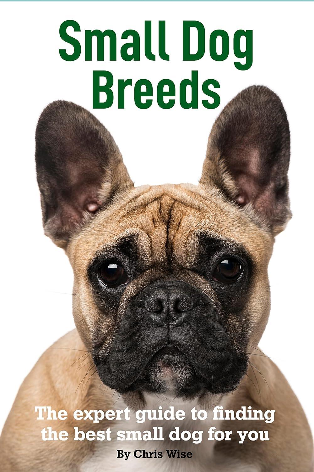 Best Small Dog Breeds - Expert Help to Find the Best Small Dog for You Review