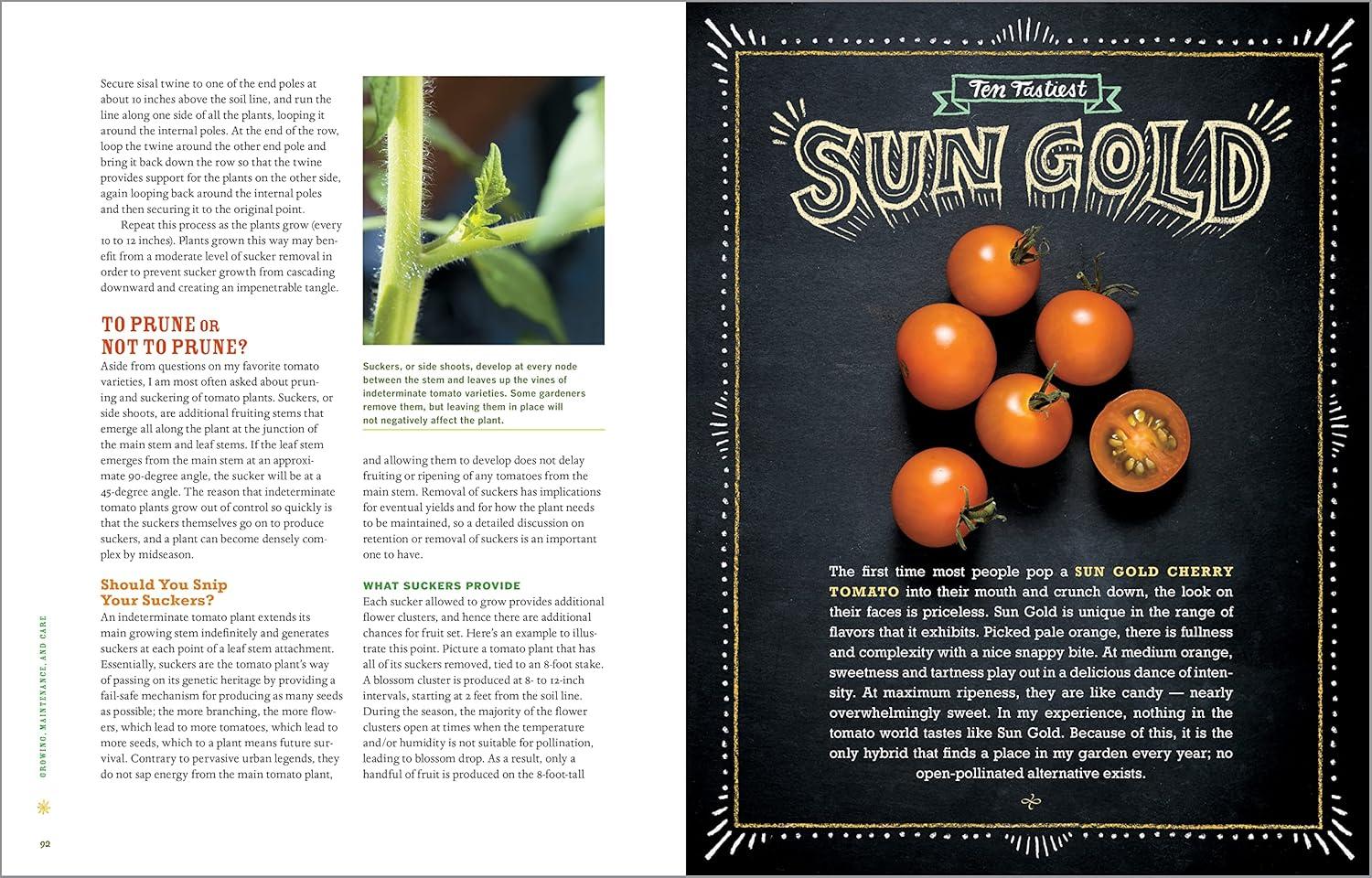 Best Tomato Growing Guide - Epic Tomatoes: How to Select & Grow Varieties