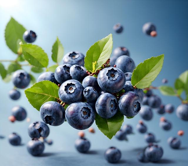 What Is the Best Fertilizer for Blueberries? A Simple Guide to Healthy, Sweet Berries