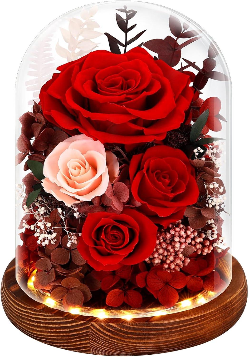 Forever Rose Showdown: Tested Glass Dome with LED Lights… Perfect Gift Ever!