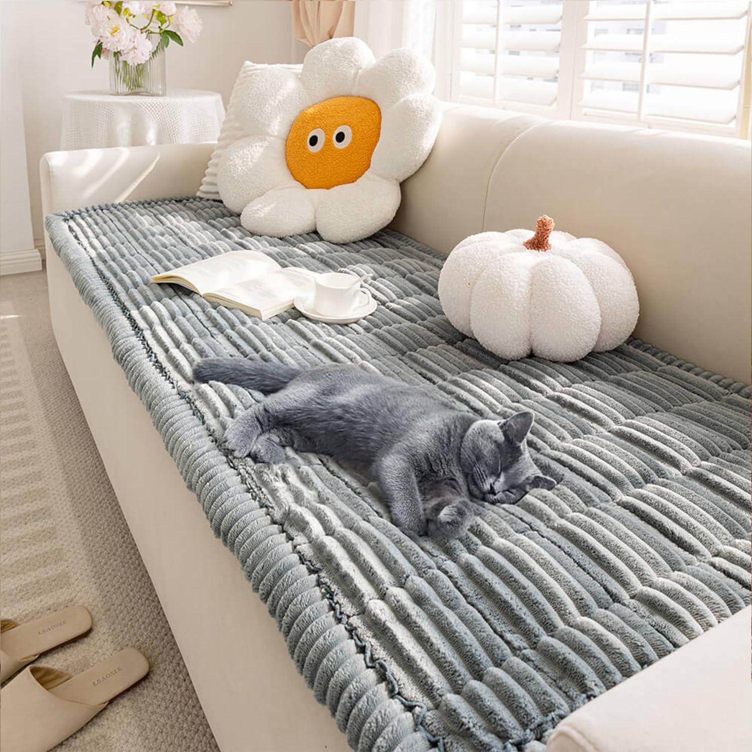 Funny Fuzzy Covers Versus Unexpected Pet Cleaning Insights... Compared citizen!