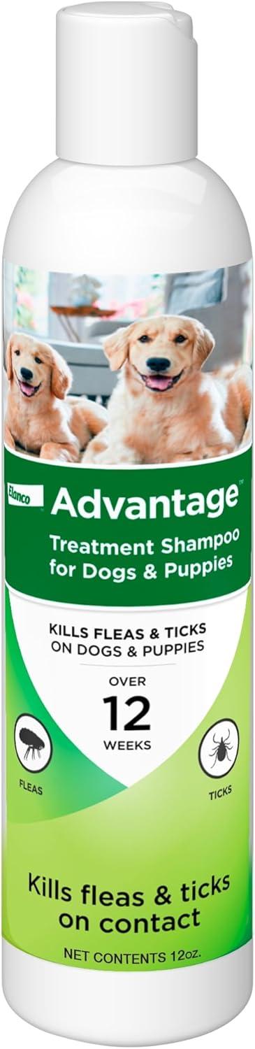 Seresto Versus Advantage: Flea Protection Showdown...Surprising Insights