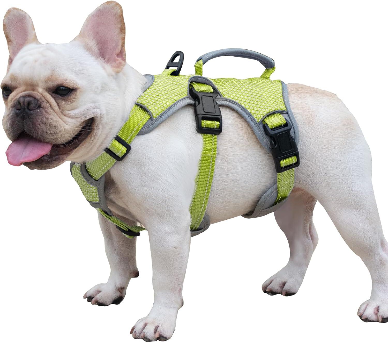 Polyester, Nylon, Fly-woven Harness: Comfortable Escape-Proof Gear