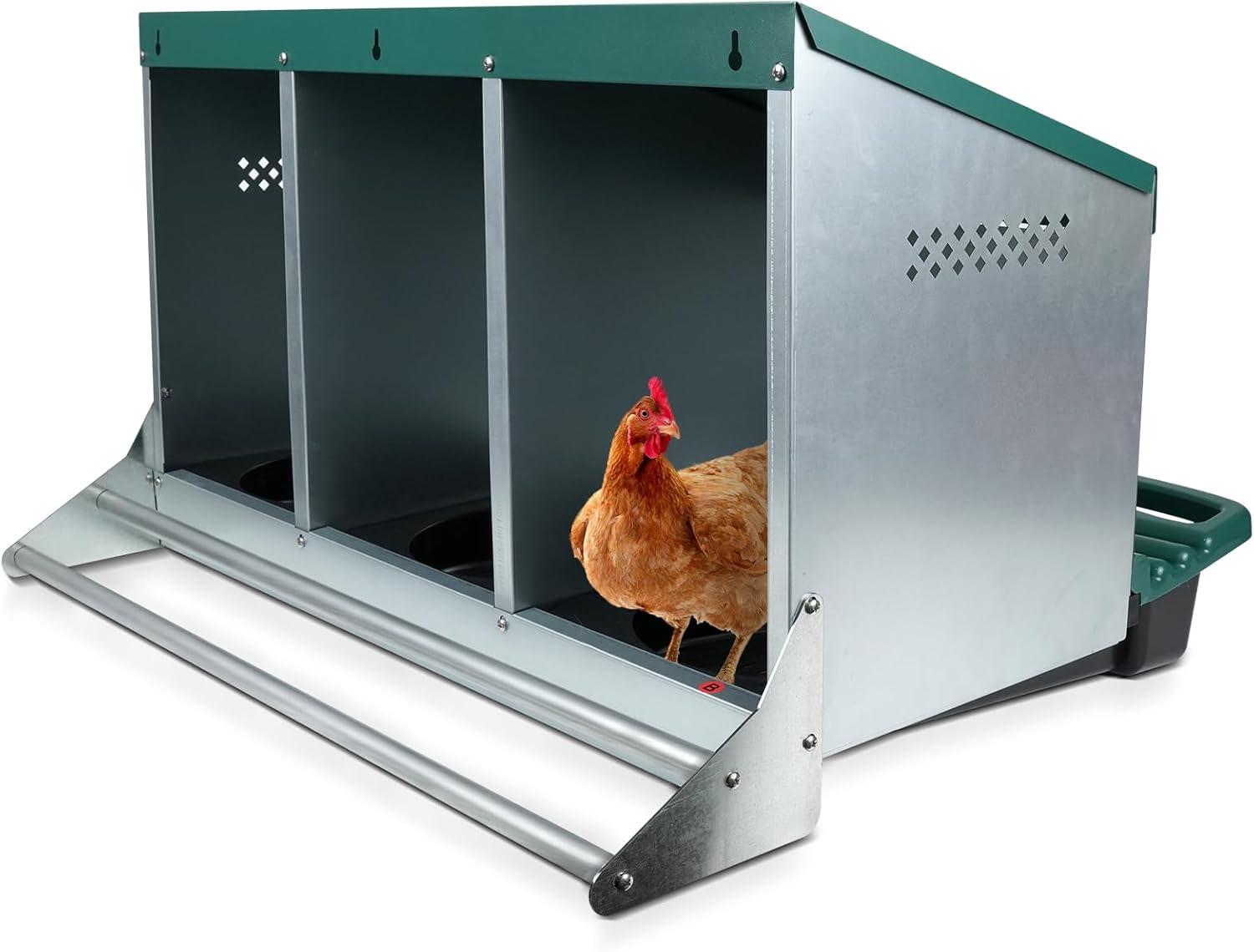 Surprising Egg Showdown: Heavy-Duty Nesting Boxes Compared...Best Coop Buy!