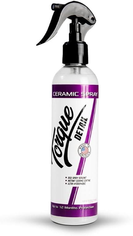 Ultimate Detail Spray Showdown!...Tested For Best Protection!