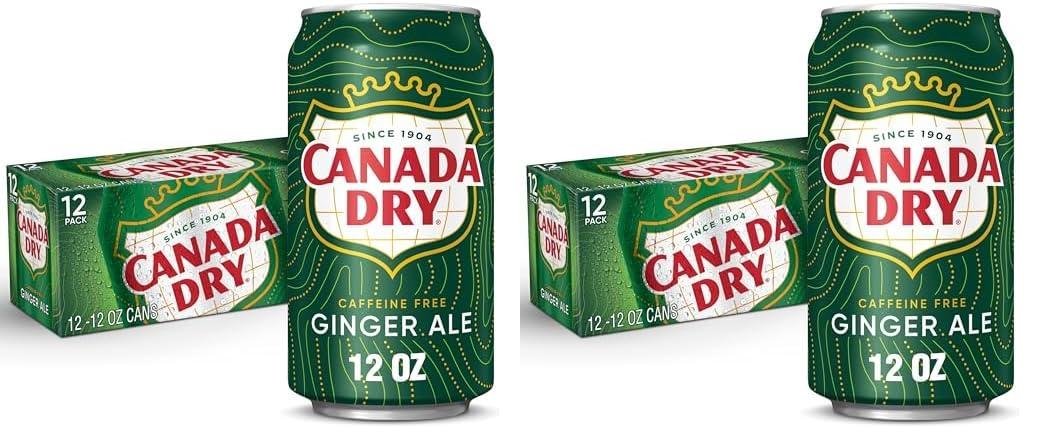 Canada Dry Versus Surprising Fizz: 12-Pack Ginger Ale Comparison... seasonal sipper!
